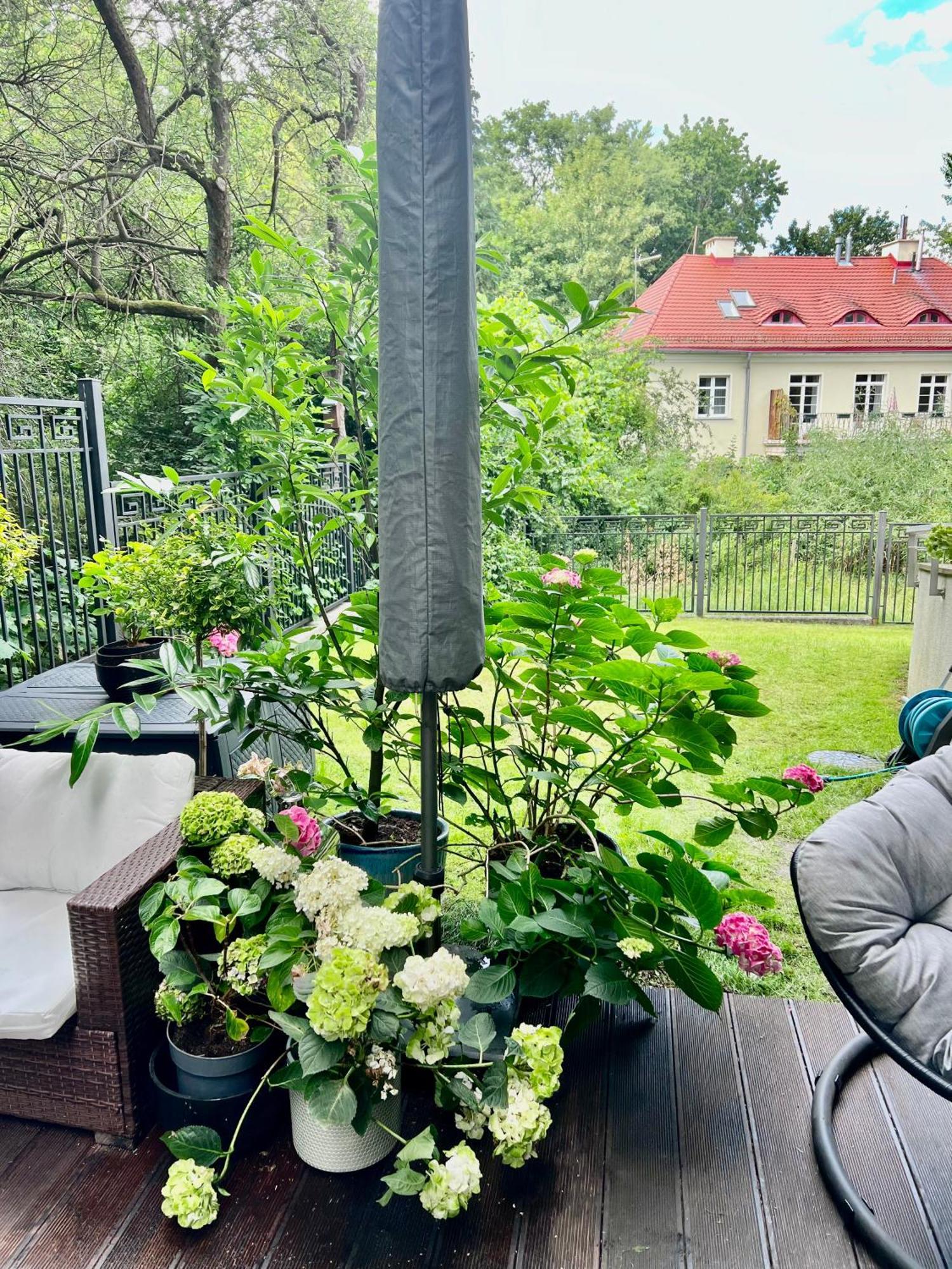 Baltic Riviera - Terrace Sopot
