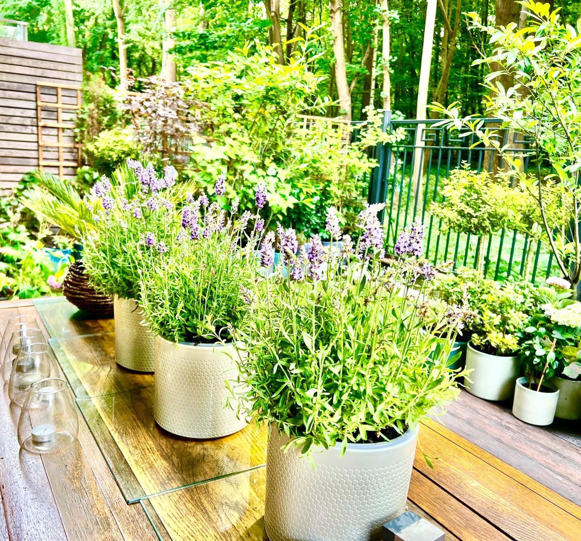 Baltic Riviera - Terrace * Sopot